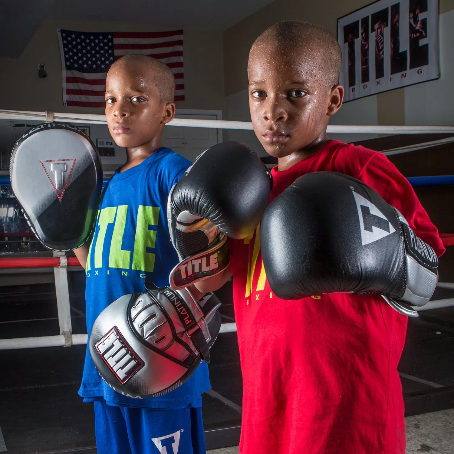 TITLE Platinum Proclaim Power Punch Mitts